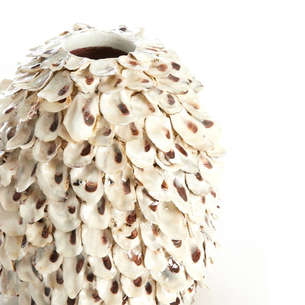 Vase coquillage