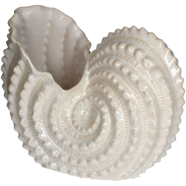 Vase coquillage